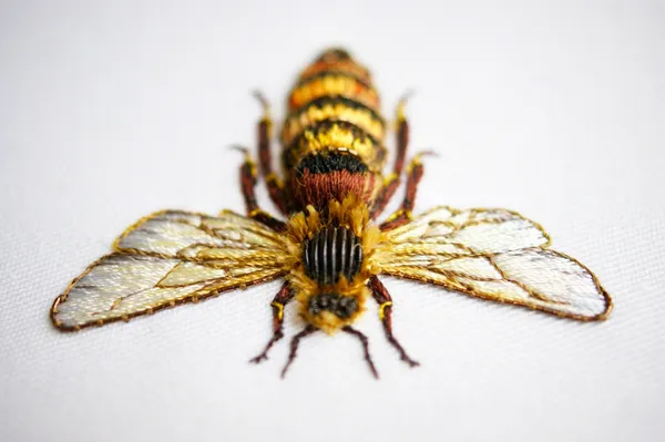 Laura Baverstock-立體刺繡-昆蟲.jpg