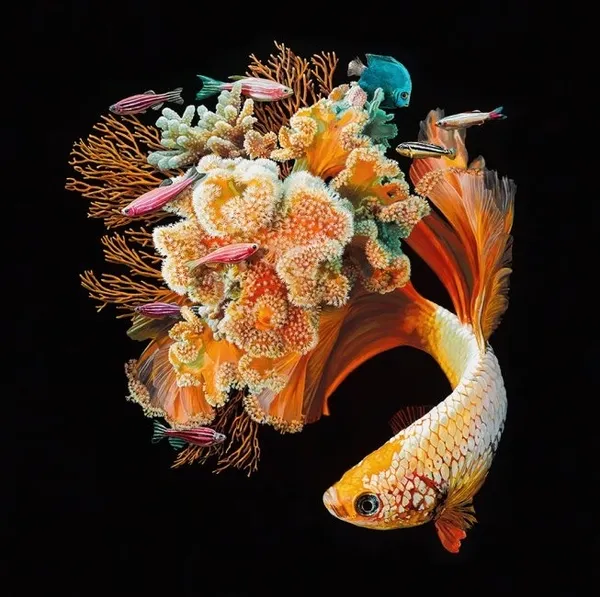 Lisa Ericson 03_2 Bloom.jpg