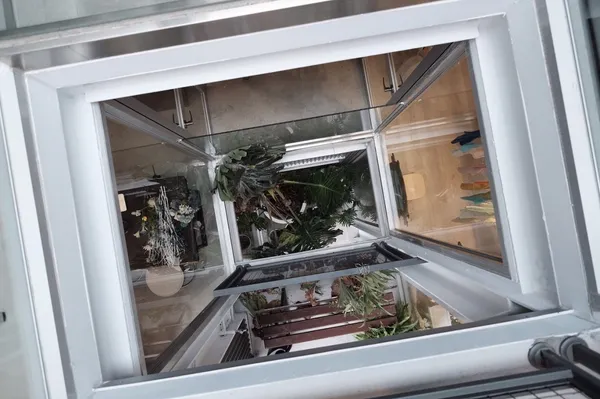 中興工廠_天井.jpg