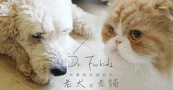 drfurkids-pet-home-care-1.png