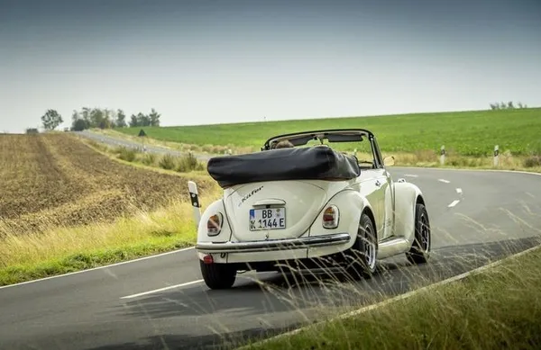 Beetle7.jpg