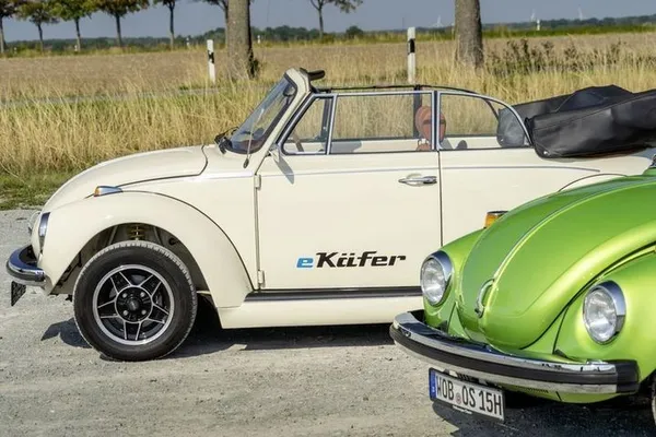 Beetle4.jpg