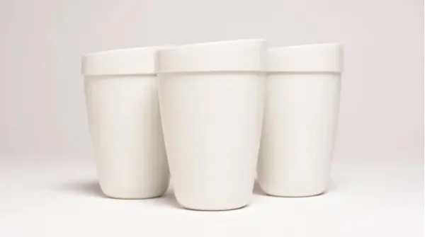 CupClub4.jpg