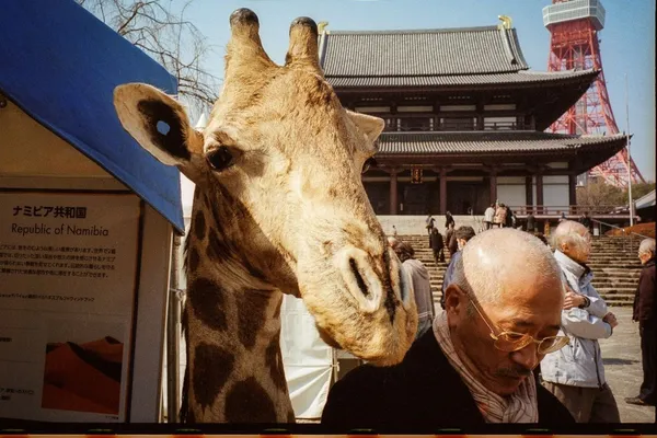 ©️野口晋03_leica.jpg