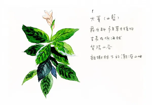 蘑菇MOGU 專欄配圖 11.JPG