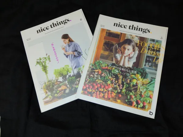 nice things 雜誌1.JPG