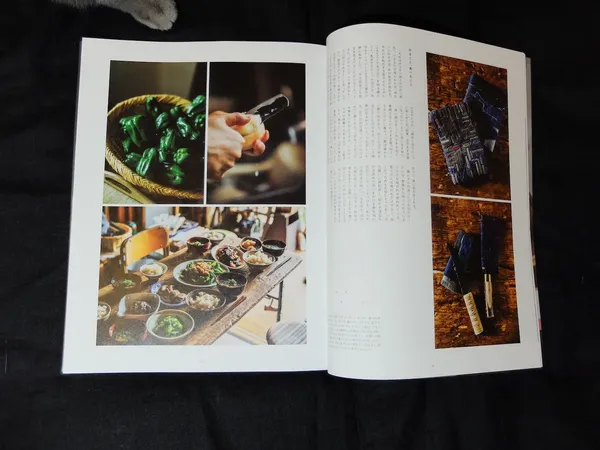 nice things 雜誌2.JPG