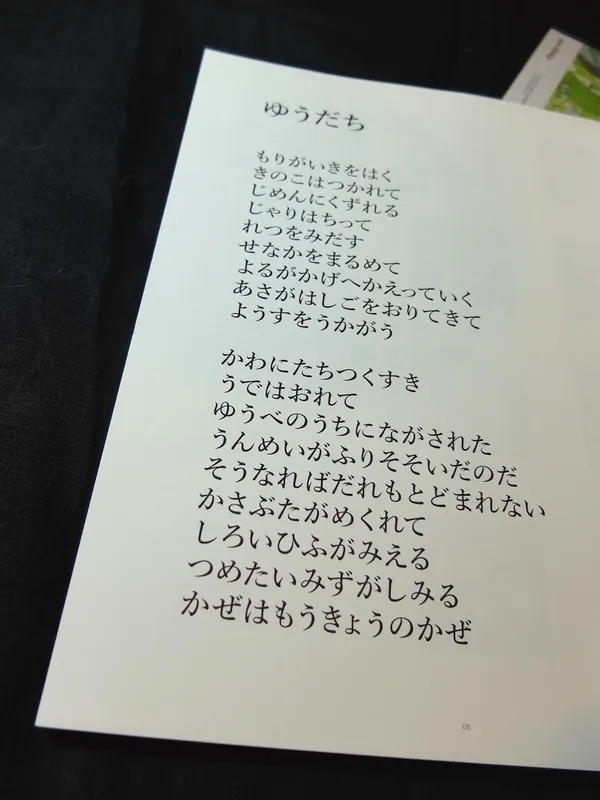 nice things雜誌 10.JPG