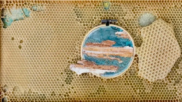 世界上最美「蜂巢」：藝術家 Ava Roth 與蜜蜂共同創作，以繡線、珠飾向女性致敬