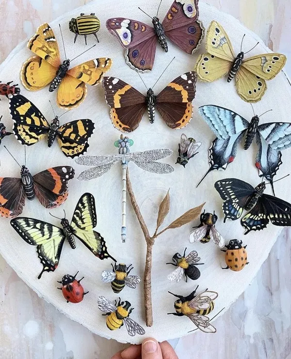 12 Ann Wood Woodlucker Insects_05.jpg
