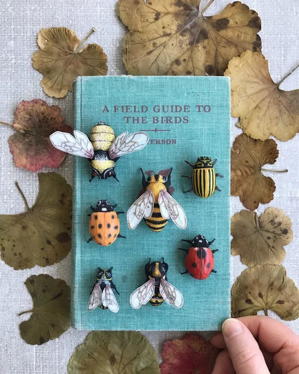 14 Ann Wood Woodlucker Insects_01.jpg