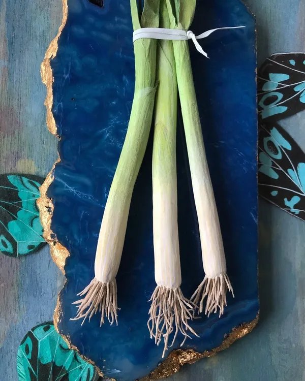 16 Ann Wood Woodlucker veggies_06.jpg