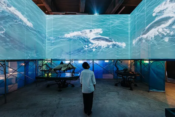 DIGI WAVE大海裡的迴旋踢.jpg