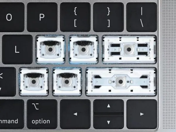APPLE_5.jpg