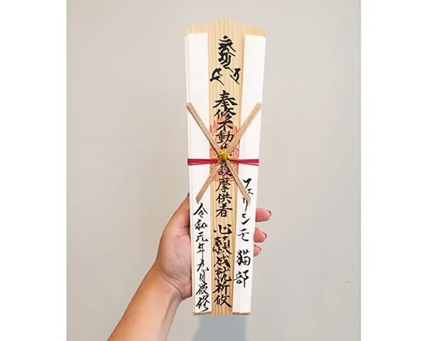 祈求健康 03_Felissimo 貓部.jpg