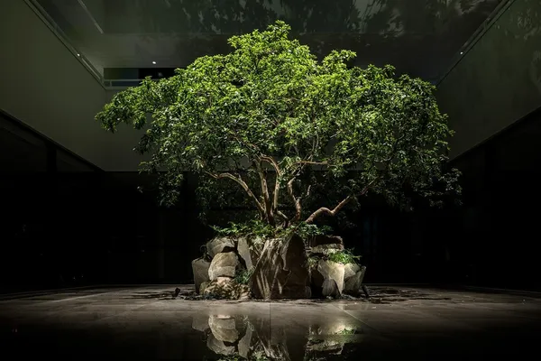 Enso Ango_tomi2_garden_yoko.jpg