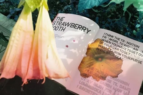 2019StackAwards獨立雜誌榜單19.jpg