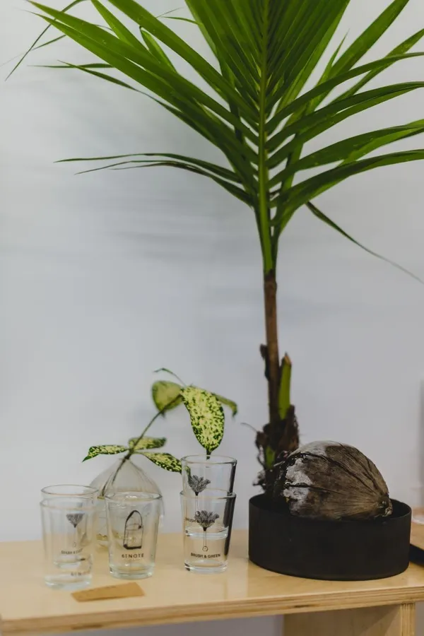 green&brush__74A5453.jpg