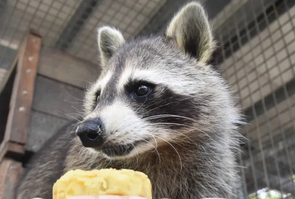 新竹市動物園