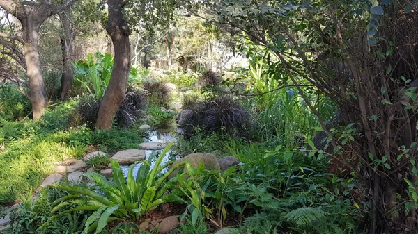 新竹市動物園 (食物森林換圖)
