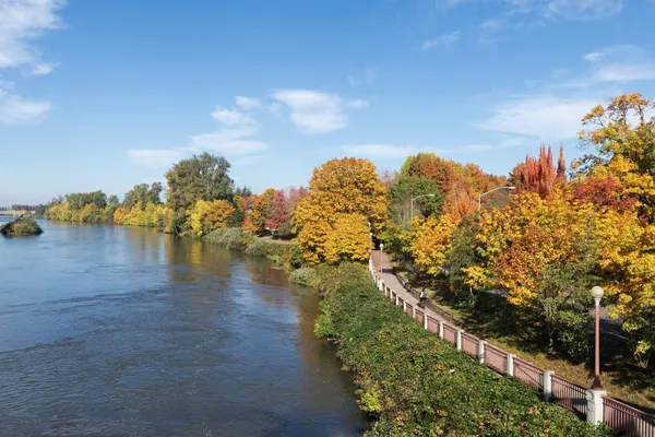 7. Eugene Oregon B - Airbnb 20 for 2020.jpg