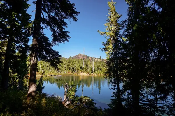 14. Courtenay Canada B - Airbnb 20 for 2020.jpg
