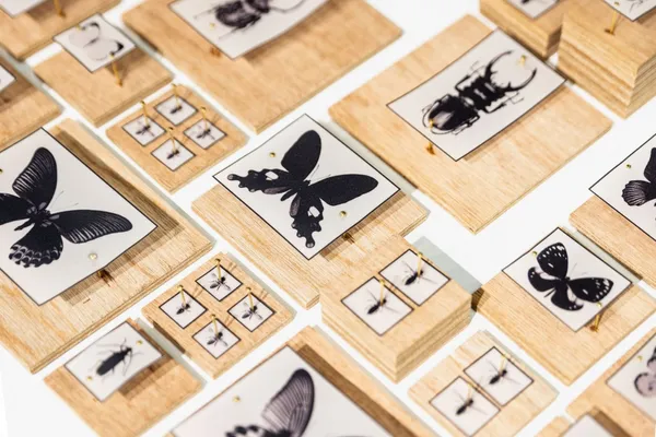 伊日生活一日茶事微型展