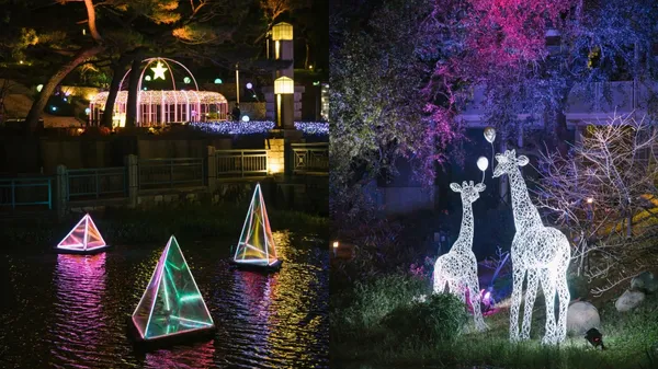 新竹「城市躲貓貓」夜間奇幻動物園！打破燈會想像，10 組藝術家以光影詮釋動物秘密基地