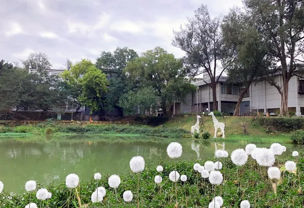新竹公園城市躲貓貓-任大賢-動物世界(3).jpg