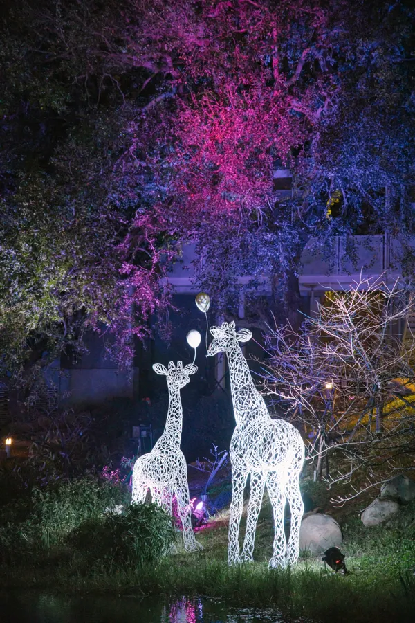 新竹公園城市躲貓貓-任大賢-動物世界(4).jpg