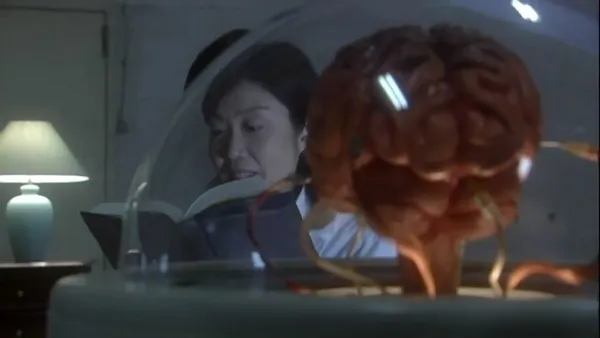 brain2.jpg