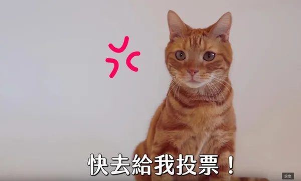 2020返鄉投票呼籲00.jpg