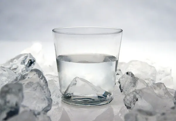 金魚氣泡紙04.jpg