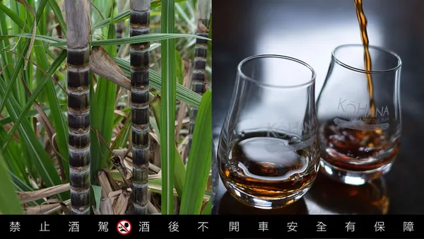 品一杯夏威夷蘭姆酒，細嚐傳統農作的設計新生命：Kō Hana Agricole Rum