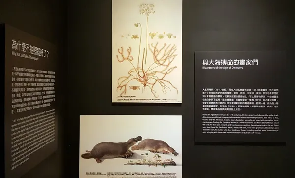 繪自然-博物畫裡的臺灣10.jpg