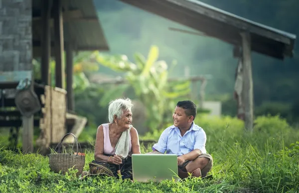 laptop-nature-outdoor-people-woman-flower-1179867-