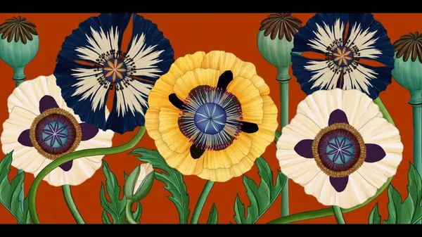 植物動畫_Story of Flowers_05.jpg