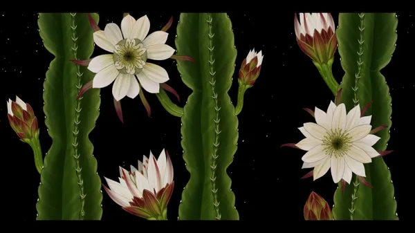 植物動畫_Story of Flowers_06.jpg