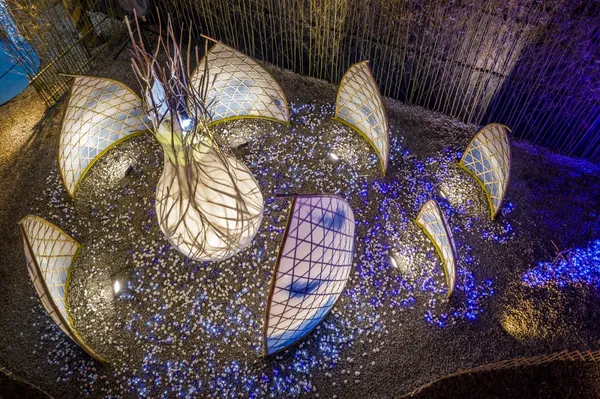 花蓮太平洋漫波-2020台灣燈會