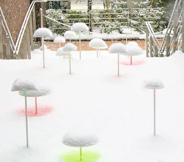 澀谷俊彥_Snow Pallet 12_02.jpg