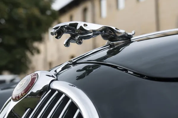 Jaguar