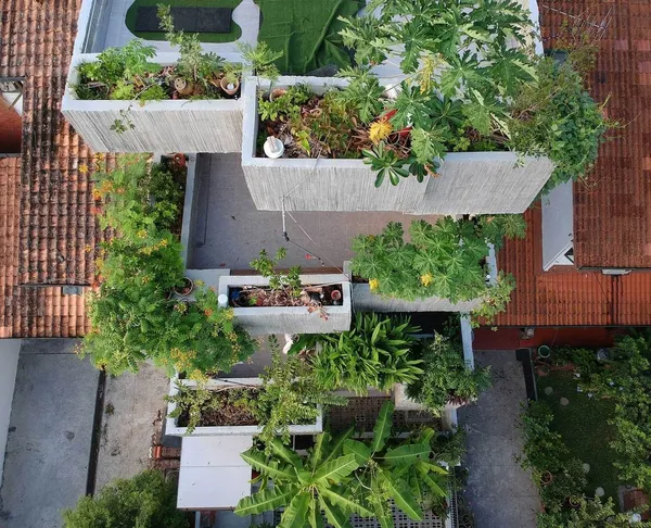 Planter Box House 05.jpg