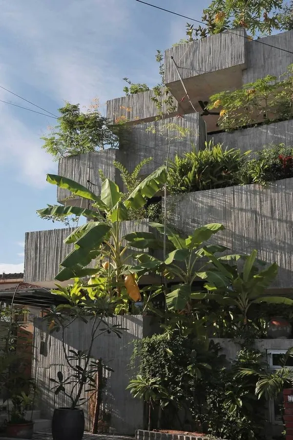 Planter Box House 16.jpg