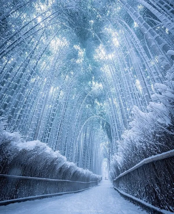 下雪的京都 wasabitool 09.jpg