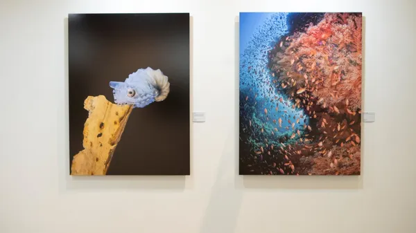 2020 新光三越國際攝影聯展