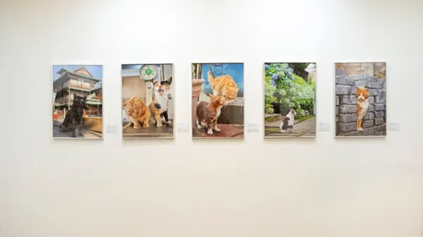 2020新光三越國際攝影聯展