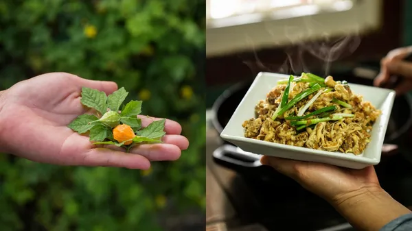 深度認識台東的味蕾指南！「台東食育提案所」集結食材風土、地方菜，打造整合食物議題的新平台