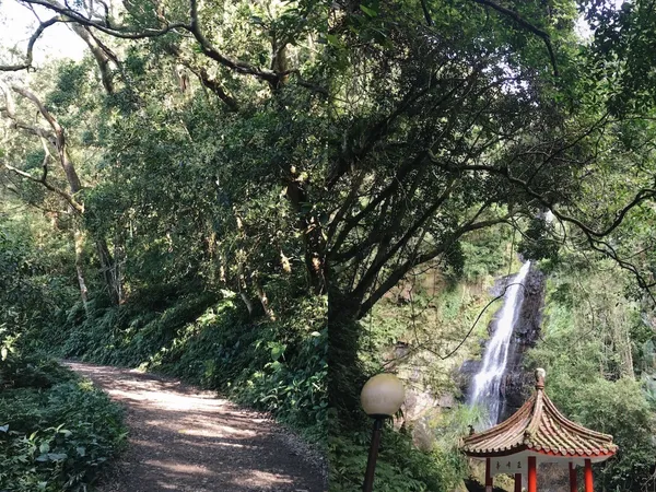 礁溪老爺樂遊抹茶山