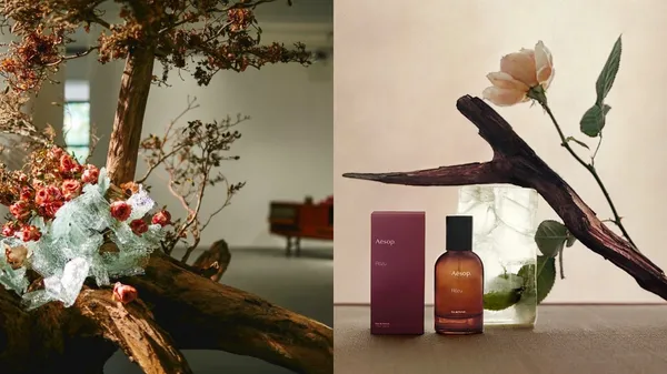 一個味道的誕生！Aesop「Rōzu 馥香水」問市：玫瑰香調打頭陣，紫蘇、癒創木調製療癒氣息
