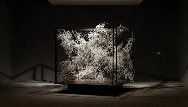 江賢二：回顧展_展場圖 ©北美館TFAM (12).jpg